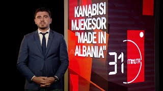 Kanabisi mjekësor “Made in Albania” - 31 Minuta