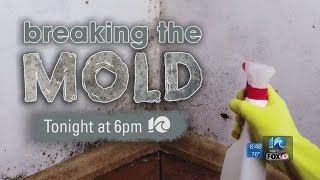 Special Report: Breaking the Mold
