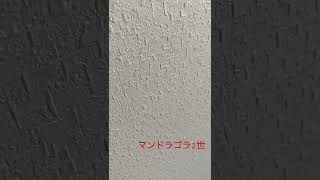 野生のマンドラゴラが現れました！(工事の音)