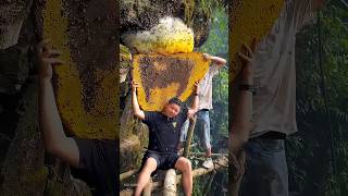 পৃথিবীর সবচেয়ে দামী মধু ১ কেজি ১ লক্ষ টাকা😱 mad honey nepal