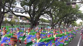 とらっくよさこい（ちふれ）　よさこい祭2019全国大会　追手筋演舞場