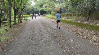 【桃園】楊梅茶山步道