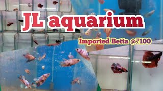 #cjdaquapro JL Aquarium imported Betta fish shop #bettafish #kolathurfish #kolathurfishmarket