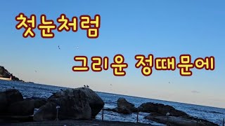 첫눈처럼 //그리운 정때문에(원곡 유명진)