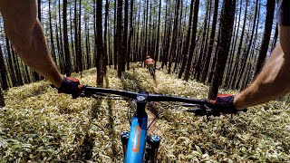 Unlocking the secrets of Japan 🇯🇵 Mountain Biking on Mt. Hachibuse