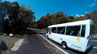 ２０１９　３月１７日　　屋久島南部　尾之間