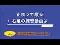 【ボレー】苦手な人はここを合わせて！ボレーが絶対伸びる２箇所タイミング合わせ