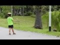 Otters' close encounter with a kid