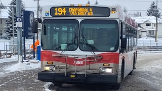 Calgary Transit Bus Route 194 (full bus ride) - Somerset - Bridlewood Station to Chaparral Valley