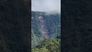 熱帯雨林の峡谷