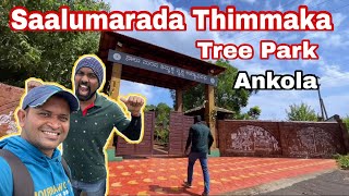 Saalumarada Thimmakka Tree Park in Ankola | Amazing view point