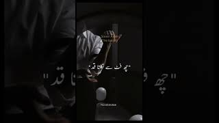 Dasht e wehshat novel by meshwish Ali #shortsviralvideo #ytshorts #shortsfeed #urdunovels