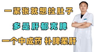 一紧张就想拉肚子？多是肝郁克脾，一个中成药，补脾柔肝止泻