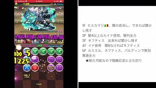 チャレダン８【パズドラ】6月クエスト　ネフティスパ立ち回り　2024.6