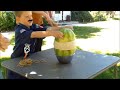 cutting a watermelon with rubber bands