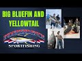 INDEPENDENCE SPORTFISHING - GRAFTECH / TURNERS JUNE 2ND 2023 8 DAY