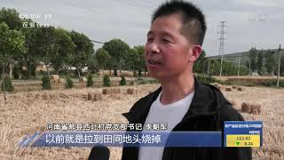 [中国三农报道]河南郏县：废弃秸秆变成“香饽饽”|农业致富经 Agriculture And Farming