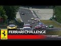 Ferrari Challenge Europe - Budapest 2017, Trofeo Pirelli Race 2