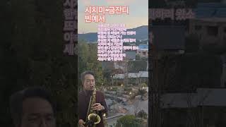 시치미 #금잔디 #빈예서 #트로트 #색소폰연주 #saxophone #K-trot #K-pop legend