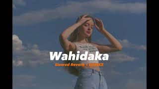 ISURU WITHANAGE - Wahidaka (වැහිදාක) Slowed + Reverb by Luvixz