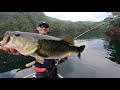 【池原ダム】ピクピクの真骨頂！天才バスも我慢できず…【ジャッカル】bassfishing day3 【水中映像】