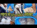 pet market in Lucknow 2024😱| Lucknow pet market Nimbu || kutta Billi market Lucknow 2024#trending