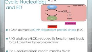 BIOC 3991: Video Presentation by Kevin Russell