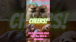 @new,to,,youBaby Dogs💔Cute and Funny Dog Videos💦#Shorts Compilation💯so see and enjoy & teaching dog😛