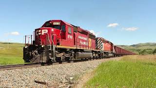 Railfanning the CP Crowsnest Subdivision - July 9, 2022