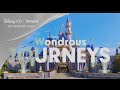 Wondrous Journey with lyrics | Disney Soundtract #disney #disneysoundtrack #disney100 #journey