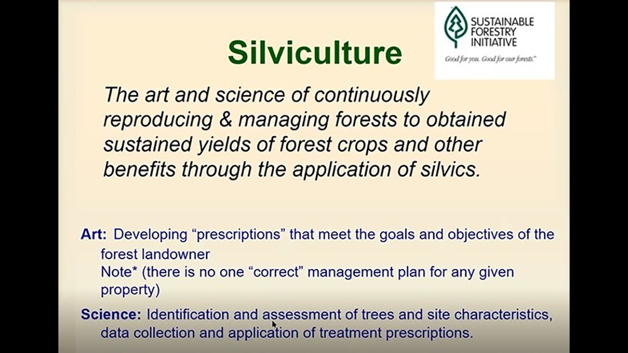 Understanding Silviculture Youtube