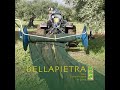 Le fasi della produzione dell'olio extravergine di oliva Bellapietra, la stesura della rete