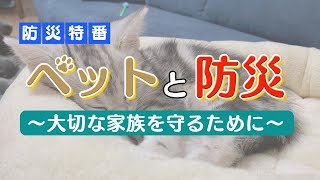 [防災特番]ペットと防災～大切な家族を守るために～