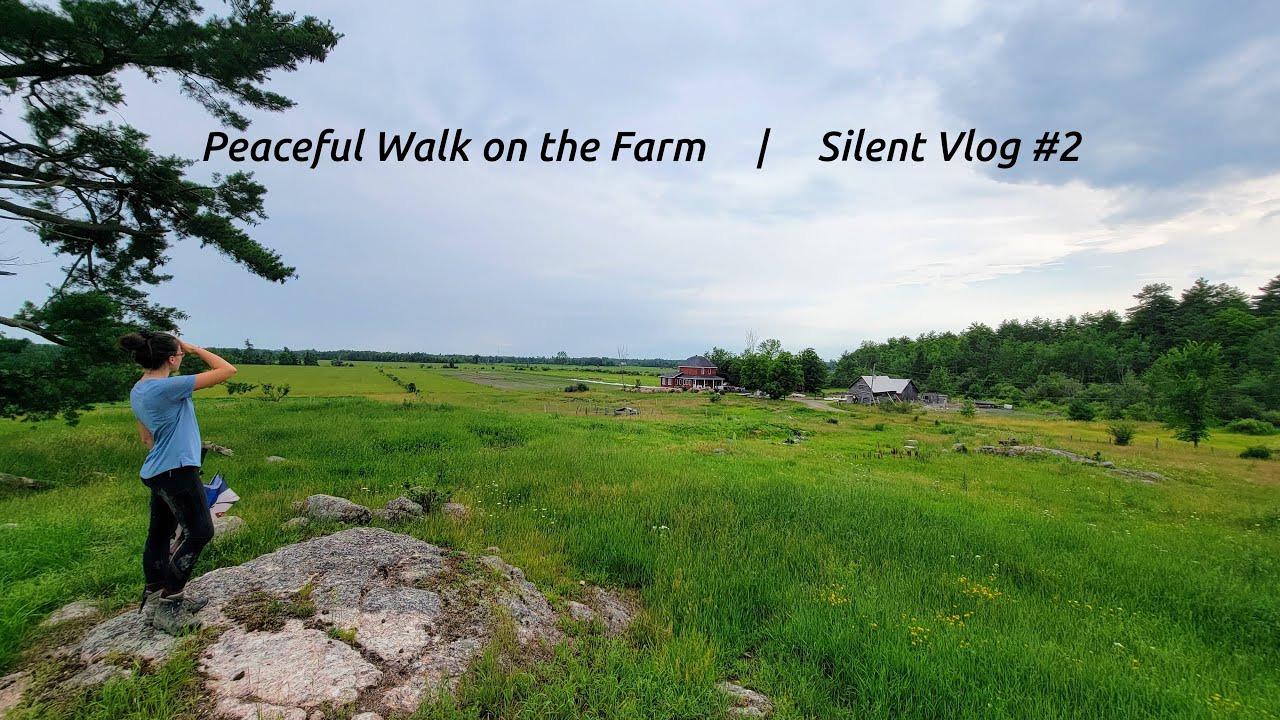 4k Nature Walk Silent Relaxing Walk On The Farm Silent Vlog