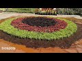 vasantholsavam flower show kanakakunnu thiruvananthapuram