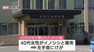 糸魚川市で目撃相次ぐ イノシシに襲われ３人が軽傷 市は注意呼びかけ 新潟(動物愛誤)(製造車禍.傷人.人身被害)(經濟損害)(アニマルホーダー)(豚コレラ.豚熱.豬瘟.CSF)(トキソプラズマ症)