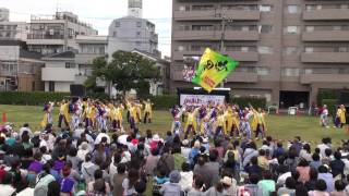 ぬまづ熱風舞人－湘南よさこい祭り２０１６