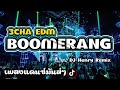 BOOMERANG EDM😈รำตึงๆ😈ดีเจเฮนรี่ DJ Henry Remix