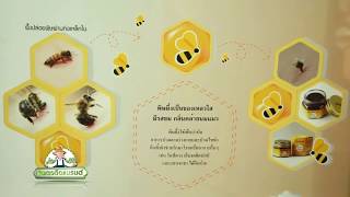 เกษตรติดแบรนด์  “น้ำผึ้ง 3 ดอกไม้” น้ำผึ้งรูปแบบที่ไม่ธรรมดา 20 ม ค 58