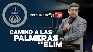 Camino a las palmeras de Elim - Pastor Elvis Sahad / Dom 12-5-19 / Triunfadores en Cristo