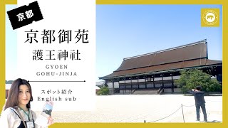 【KYOTO tour】京都御苑/御所と護王神社へ御朱印巡り【京都観光案内】#1 #kyoto