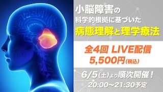 【切り抜き(全1/4回)】小脳障害の科学的根拠に基づいた病態理解と理学療法  全1/4回 松木 明好 先生