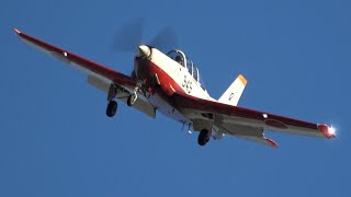 航空自衛隊岐阜基地 T-7 JASDF Gifu A.B. 2021/1/20