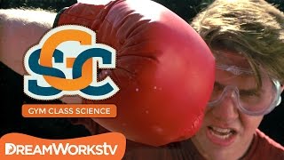 Shatter Boxing | GYM CLASS SCIENCE