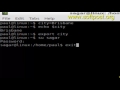 How to export environment variable in BASH shell terminal