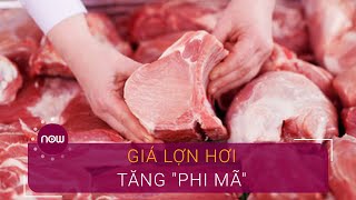 Chóng mặt với giá thịt lợn | VTC Now