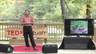 Garden Culture: Chuck Marsh at TEDxKatuah