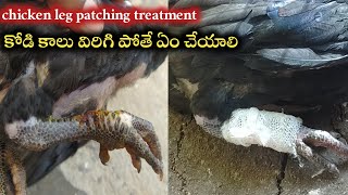 chicken leg patcher treatment||కోళ్లు పెంచే ముందు ఎలాంటి జాగ్రత్తలు తీసుకోవాలి||కోళ్ల పెంపకం