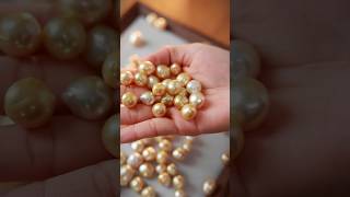 Discover the Radiance of South Sea Golden Pearls in 10 Seconds!