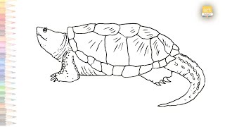 Alligator snapping turtle drawing easy | How to draw Alligator snapping turtle step by step